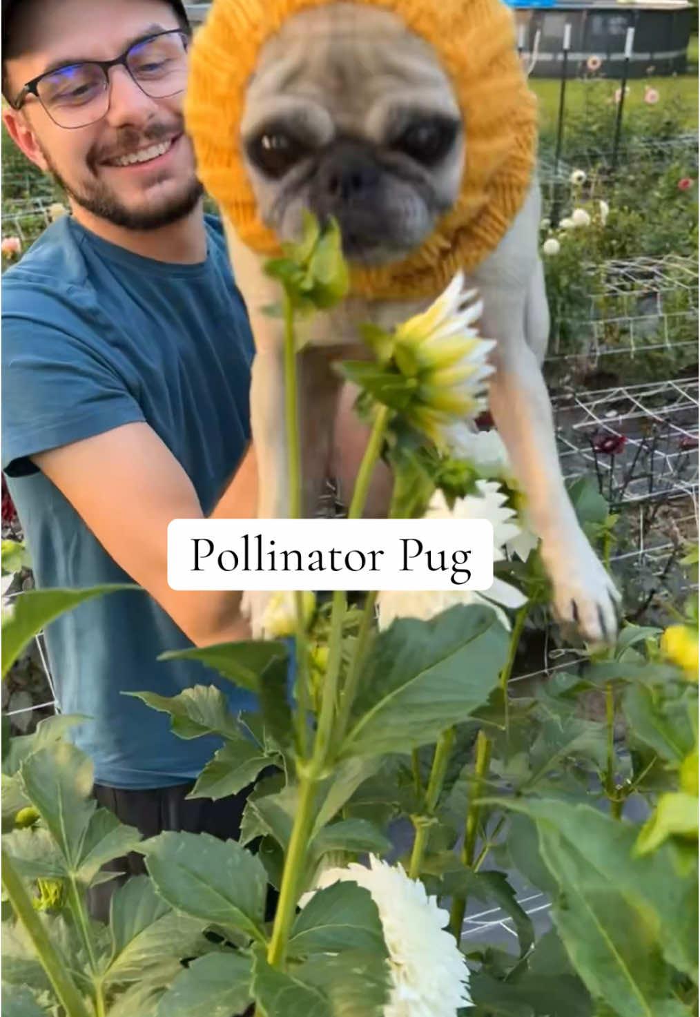 @Christopher | Flower Farmer