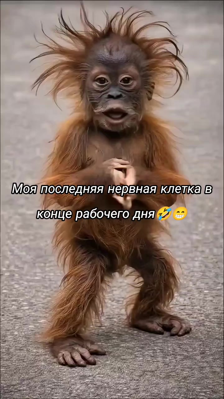 @VREDINKA😜