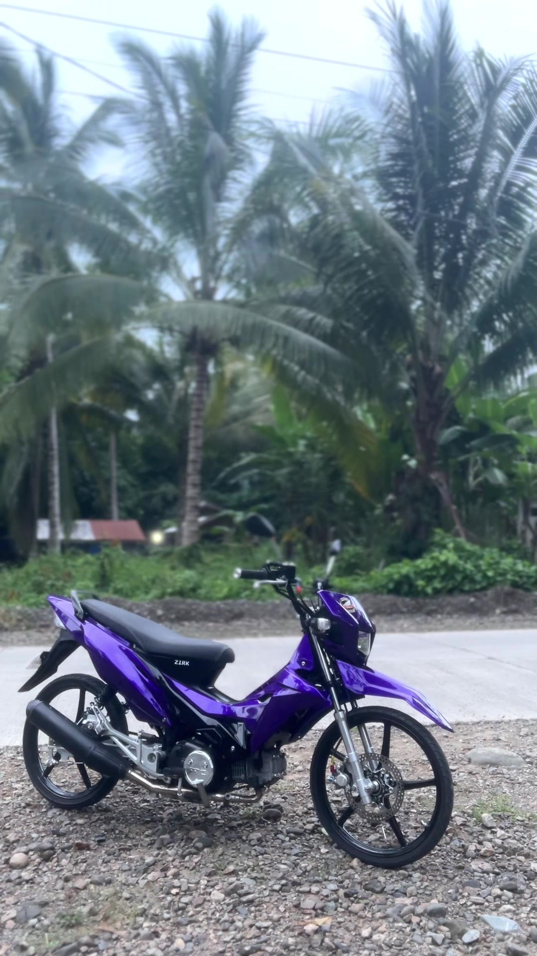 @HaroldT🇻🇳
