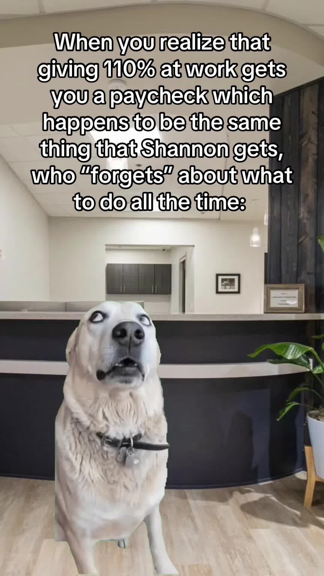 @dental_comedy_hour