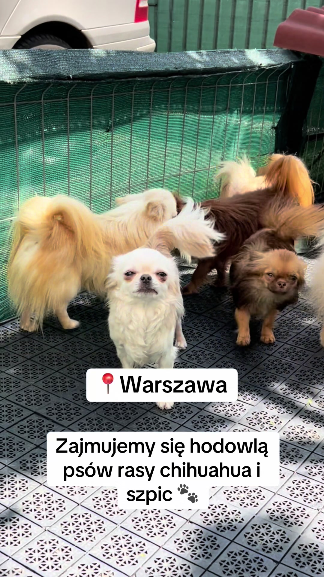 @Ulybki_lilu