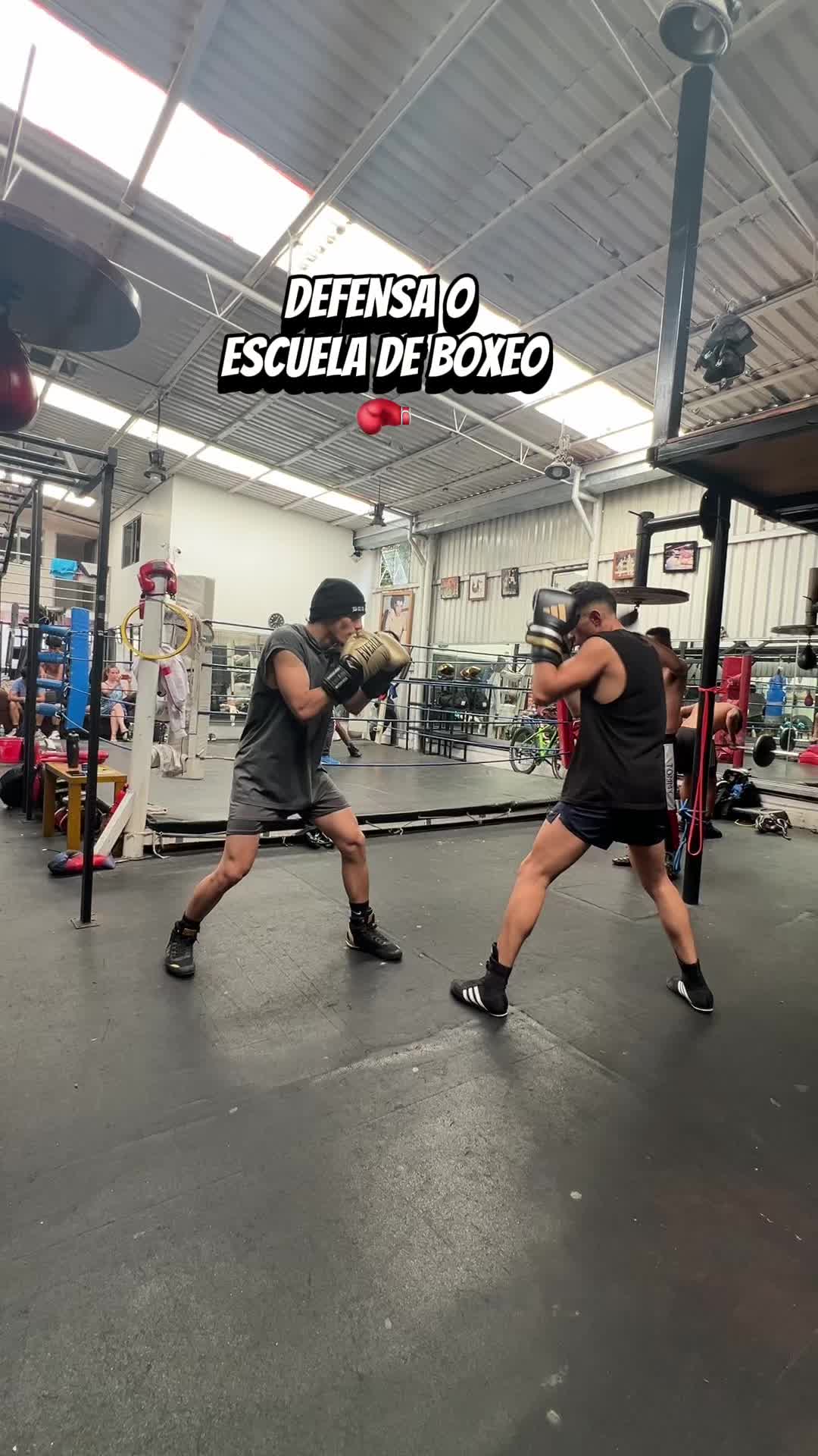 @Eduardo Rodr&iacute;guez