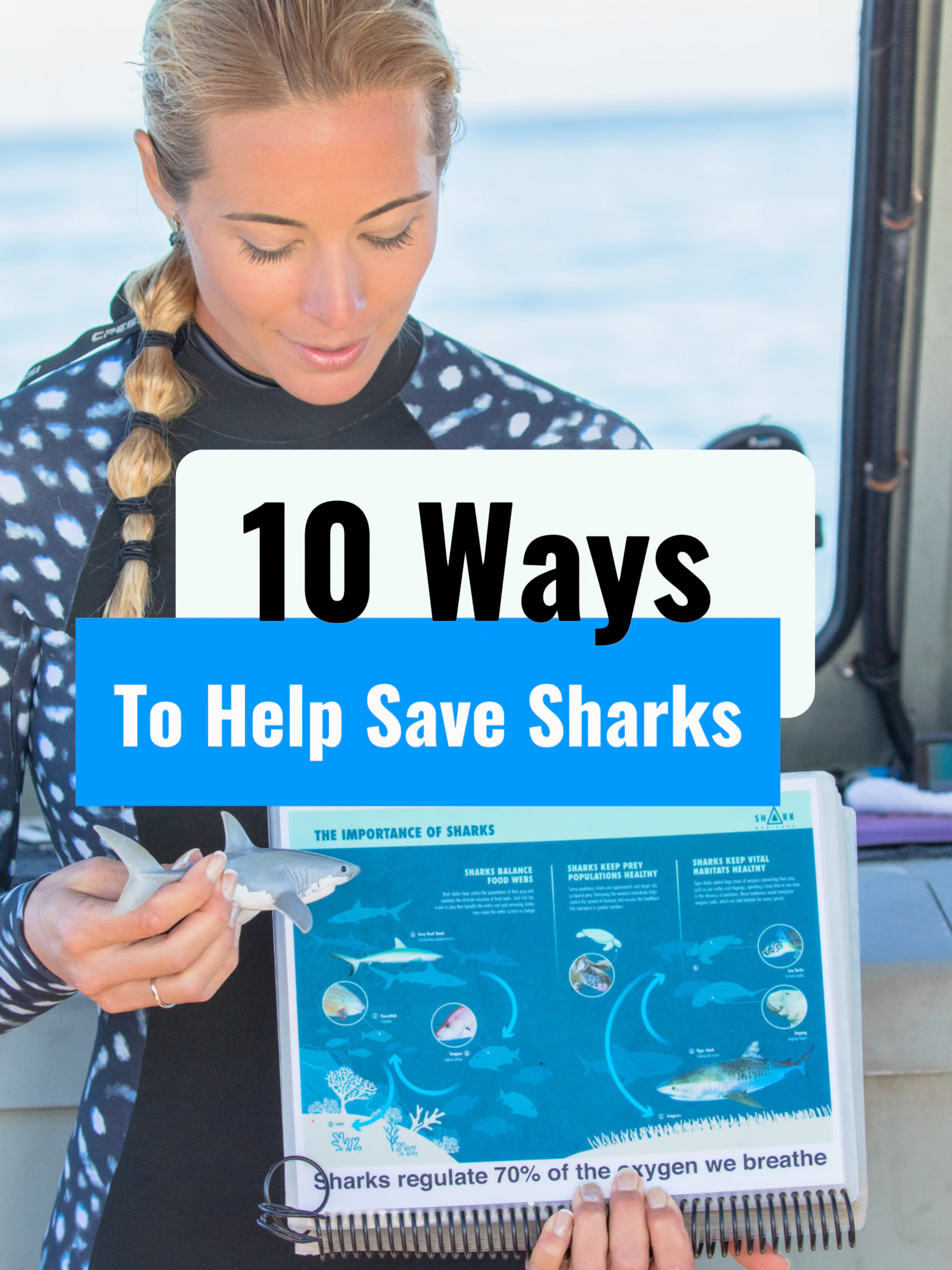 @Ocean Ramsey Sharks