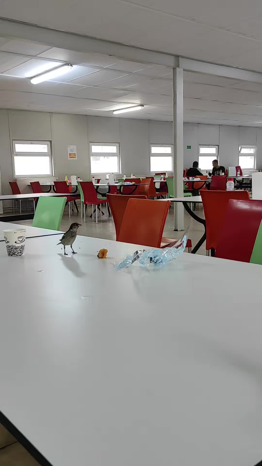 @fecri_yıldız