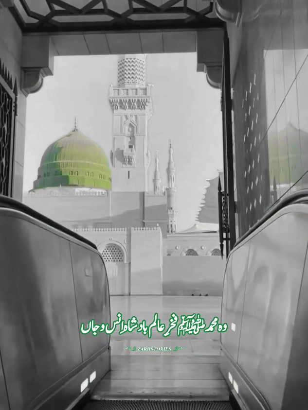 @꧁♛ 𝑧𝑎𝑟𝑖𝑖𝑠𝑡𝑜𝑟𝑖𝑒𝑠 ♛꧂