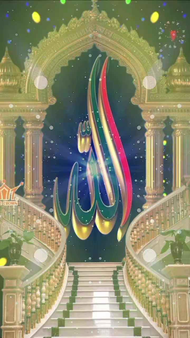 @iloveallah__3