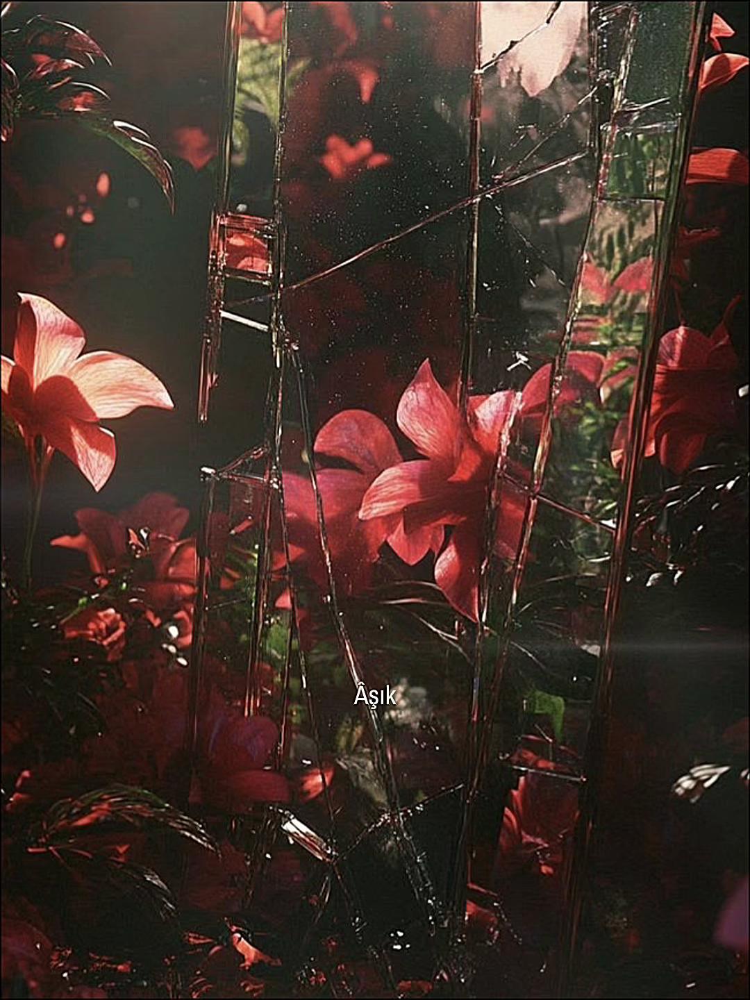 @ᴇʟᴢᴇᴍ ᴀᴋᴀʏ™᭕.꙳