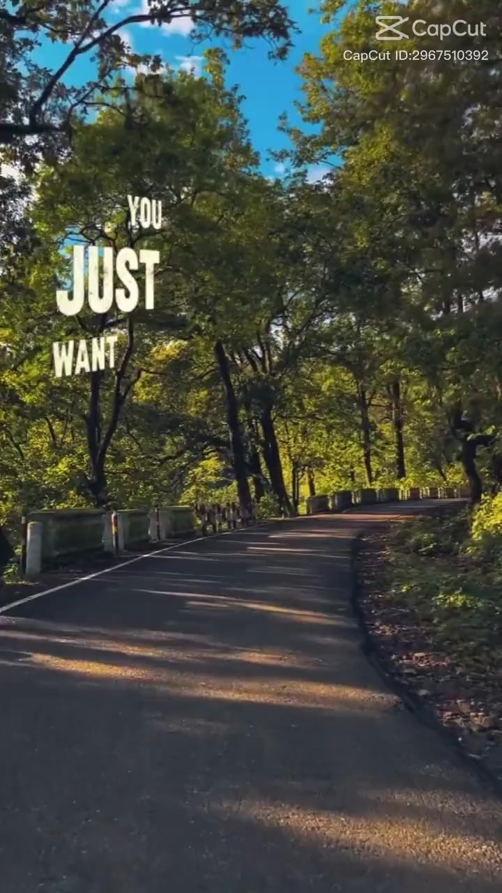 @조야🕊