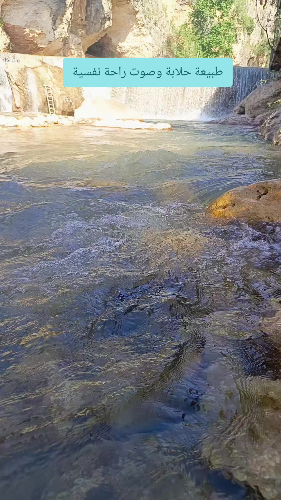 @الملياردير 👀