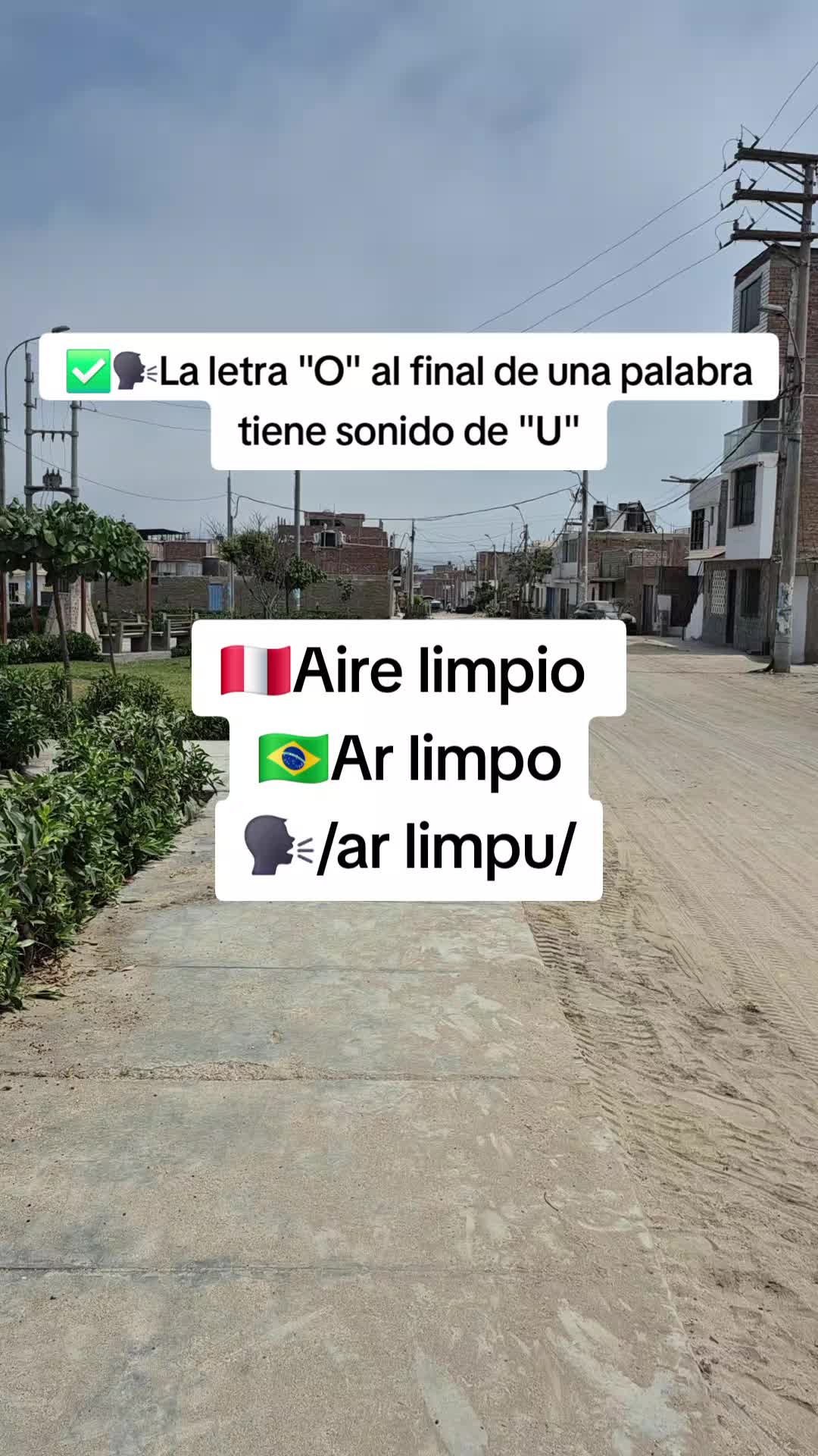 @Portugués sin límites 2
