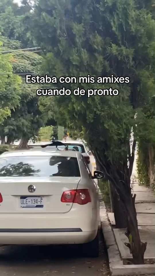 @yooquique