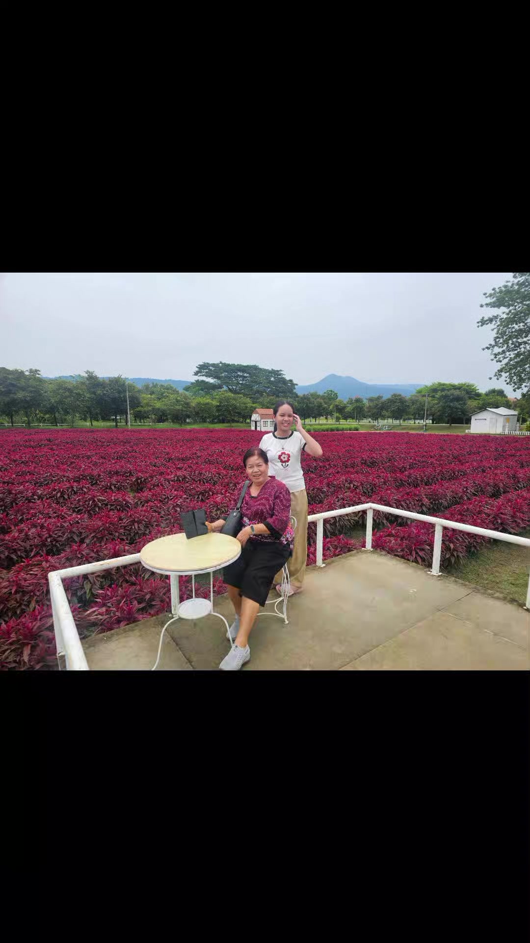 @ยายตึ้ง บ้านตราด