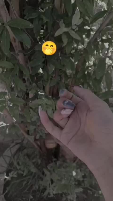 @🥀🥀💯juveria Malik 💯🥀
