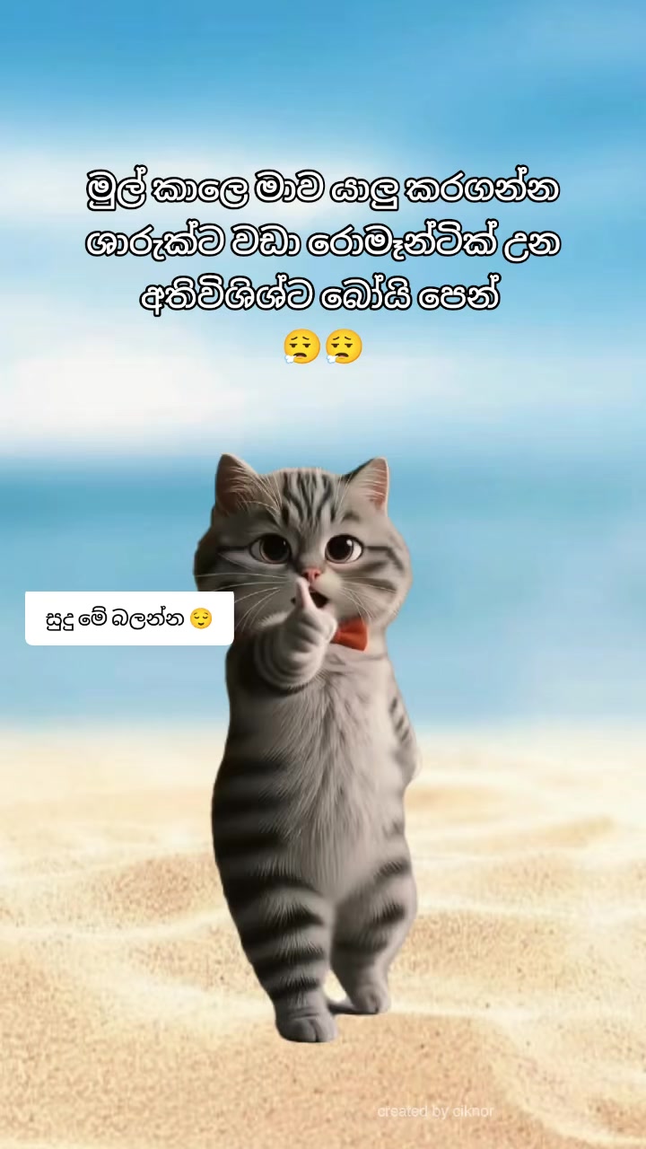 @ᥫ:❤️🌍&bull;᭡:Dewmi:N:Kavishka~ᥫ᭡