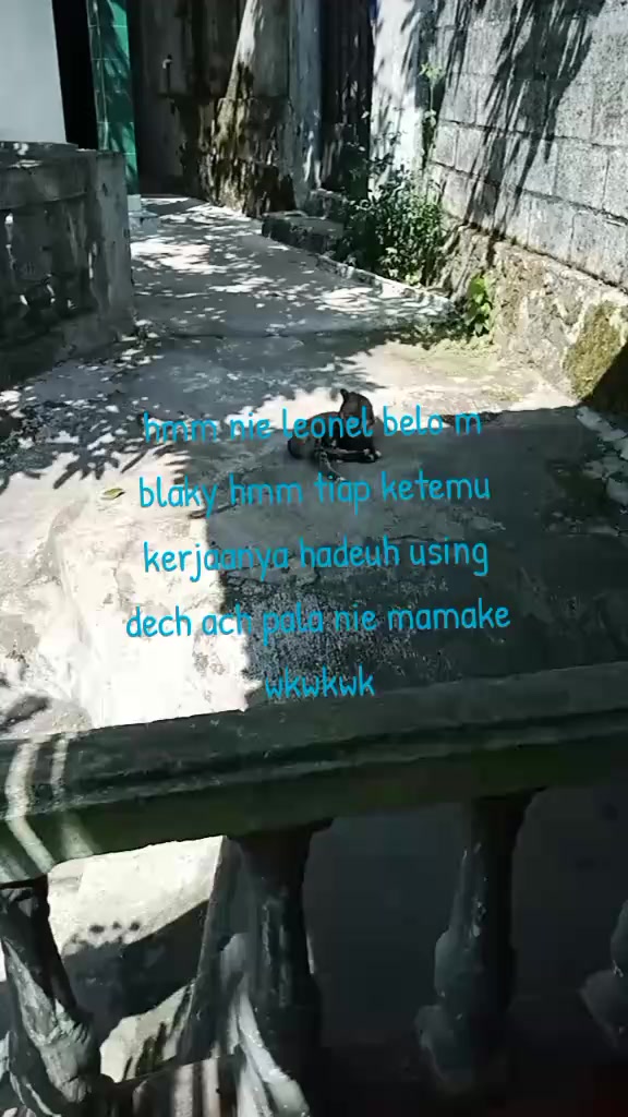 @Tie