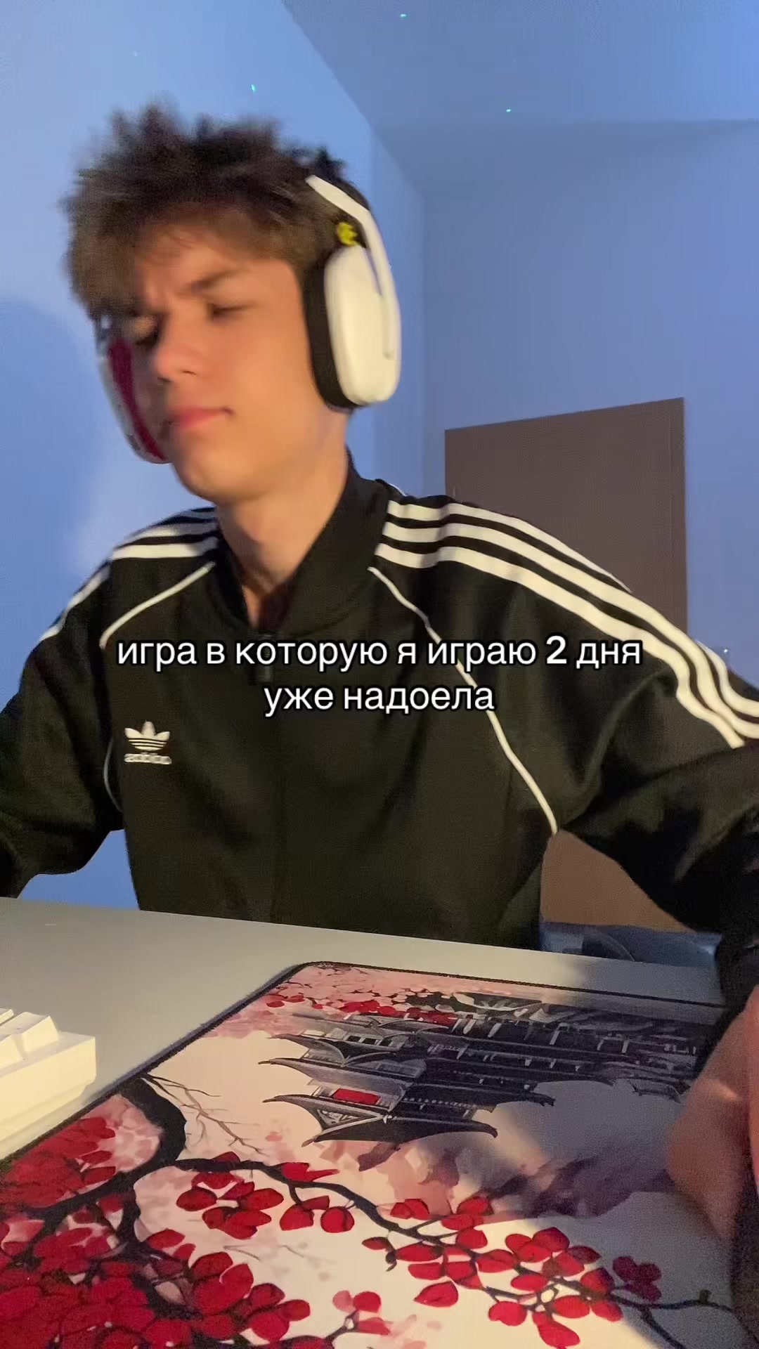 @квинсик?