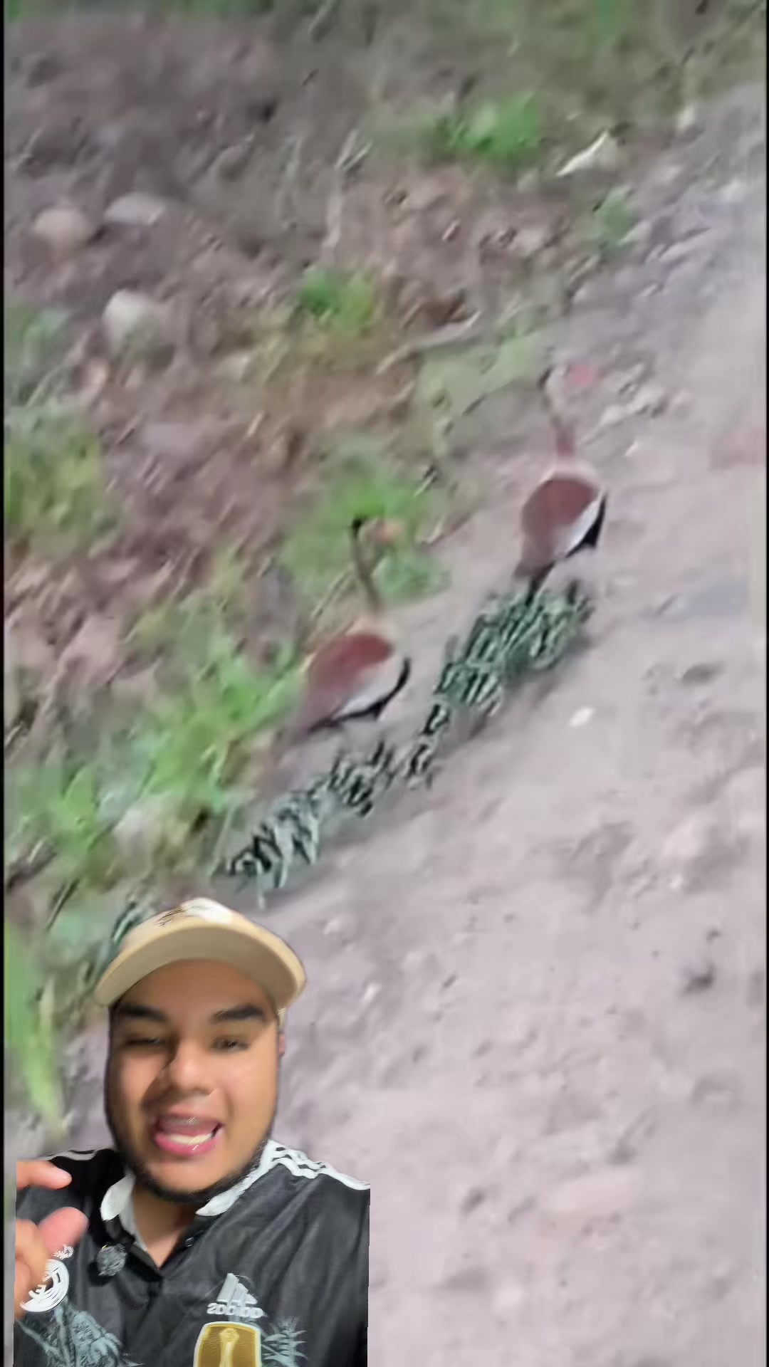 @Jair Herrera 🐆
