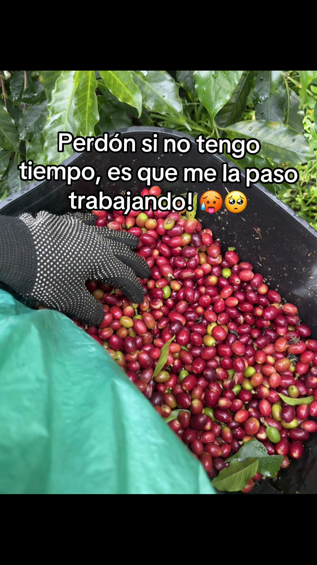 @Natalia Muñoz