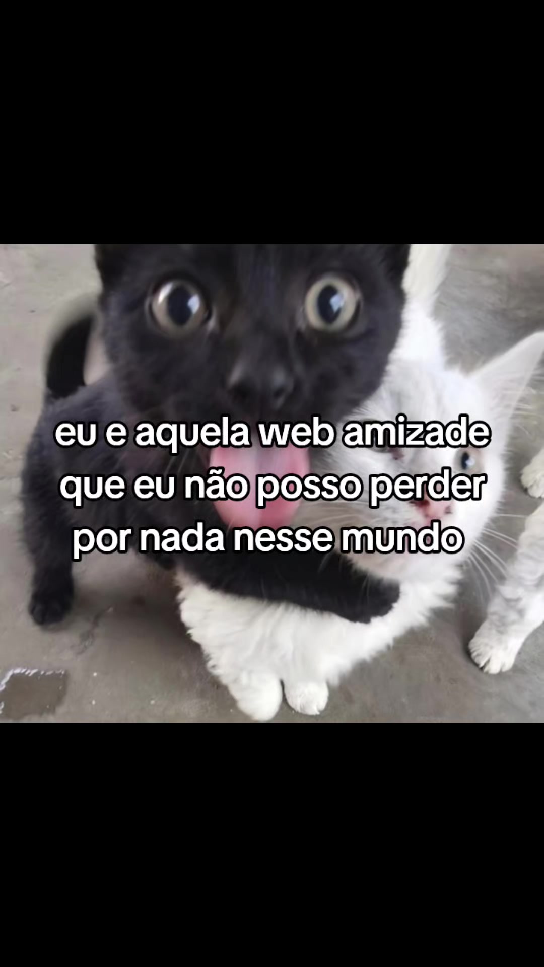 @gzy