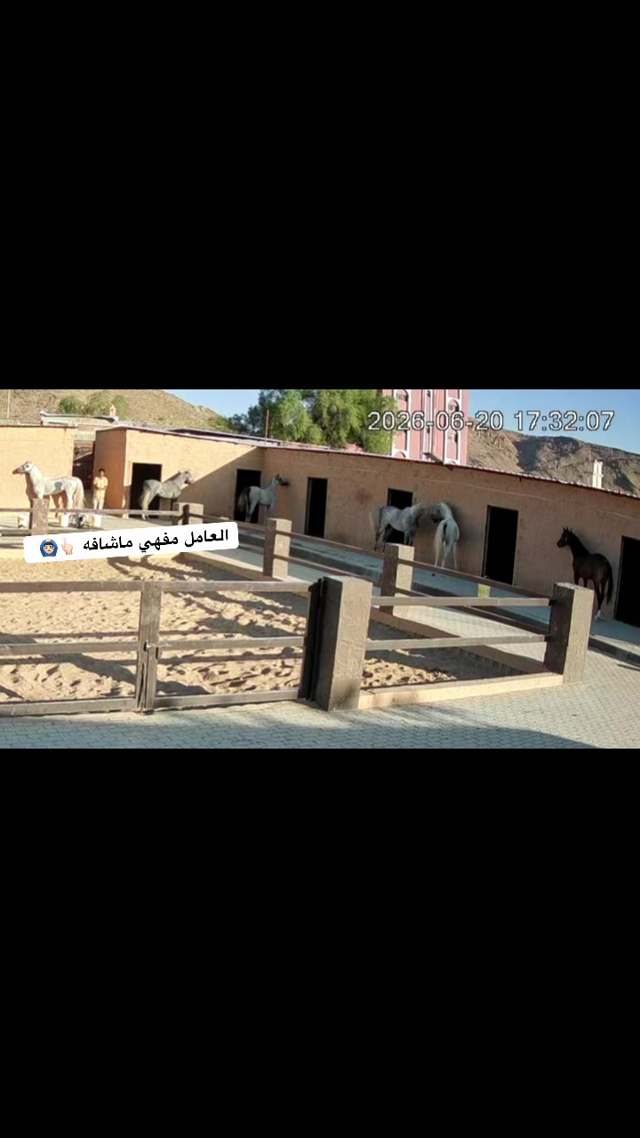 @بـاسـل الـوادعـي⭐️🐎