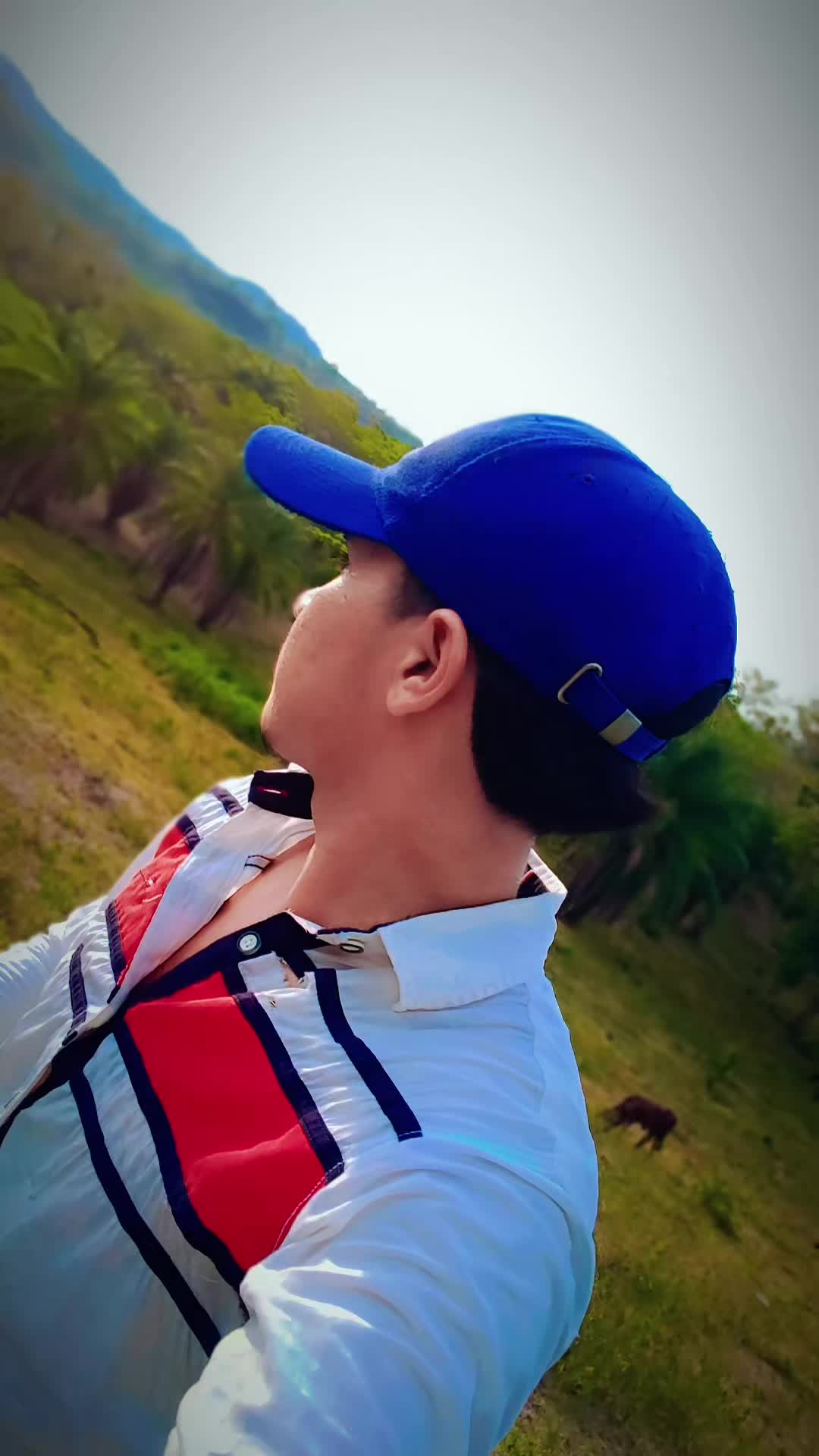 @Bonilla