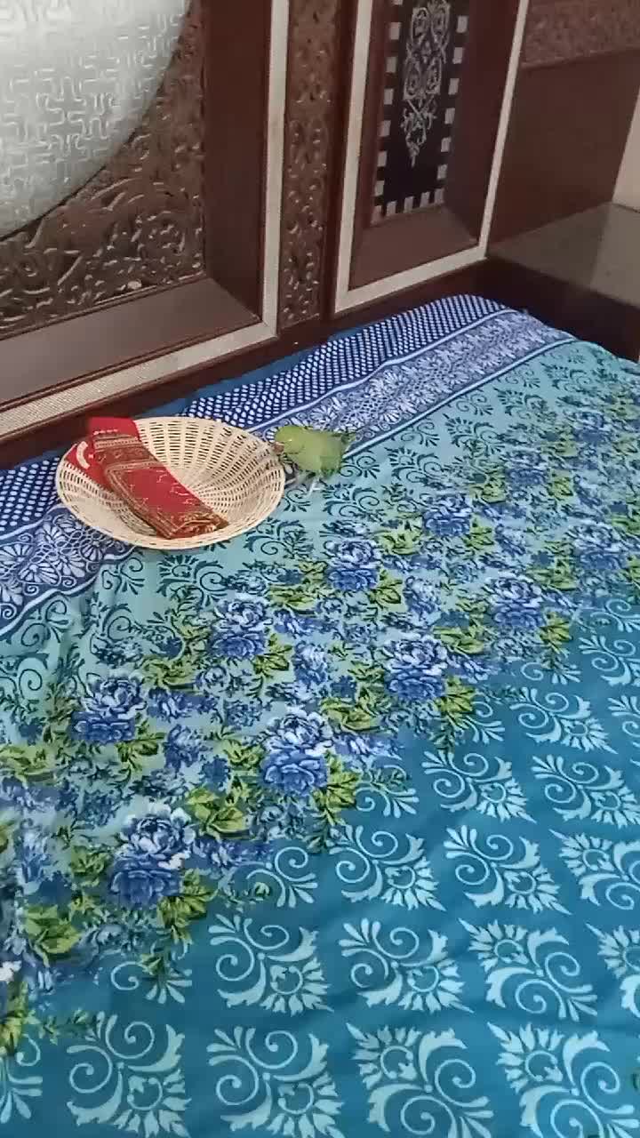 @Quratulain