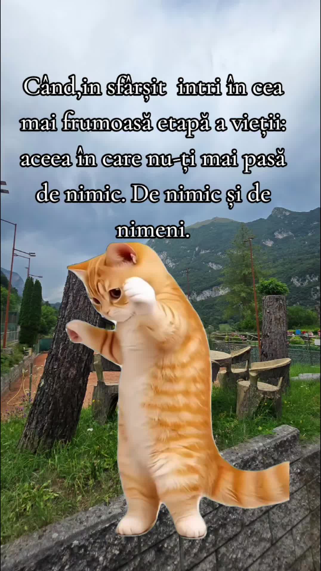 @ank_andreescu867