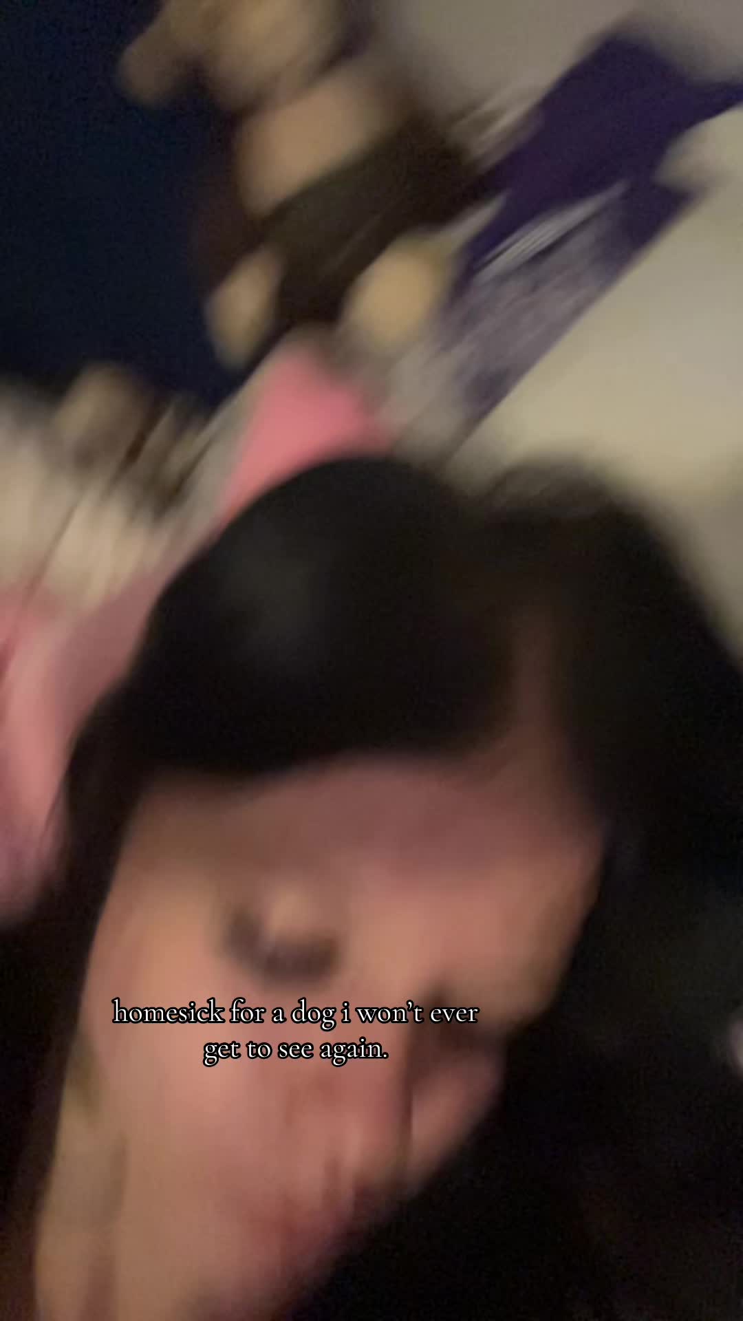 @‼️🐆