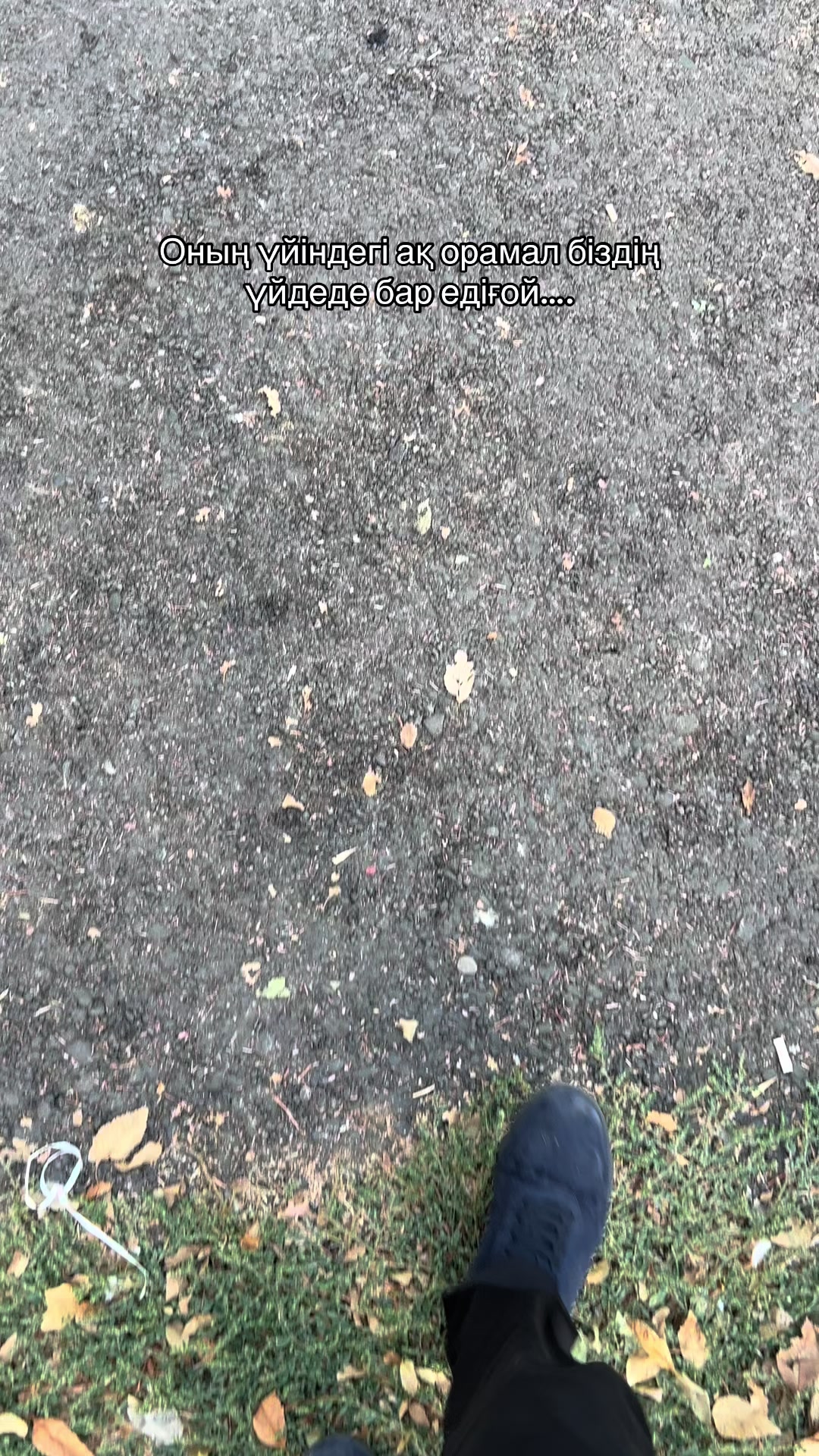 @039