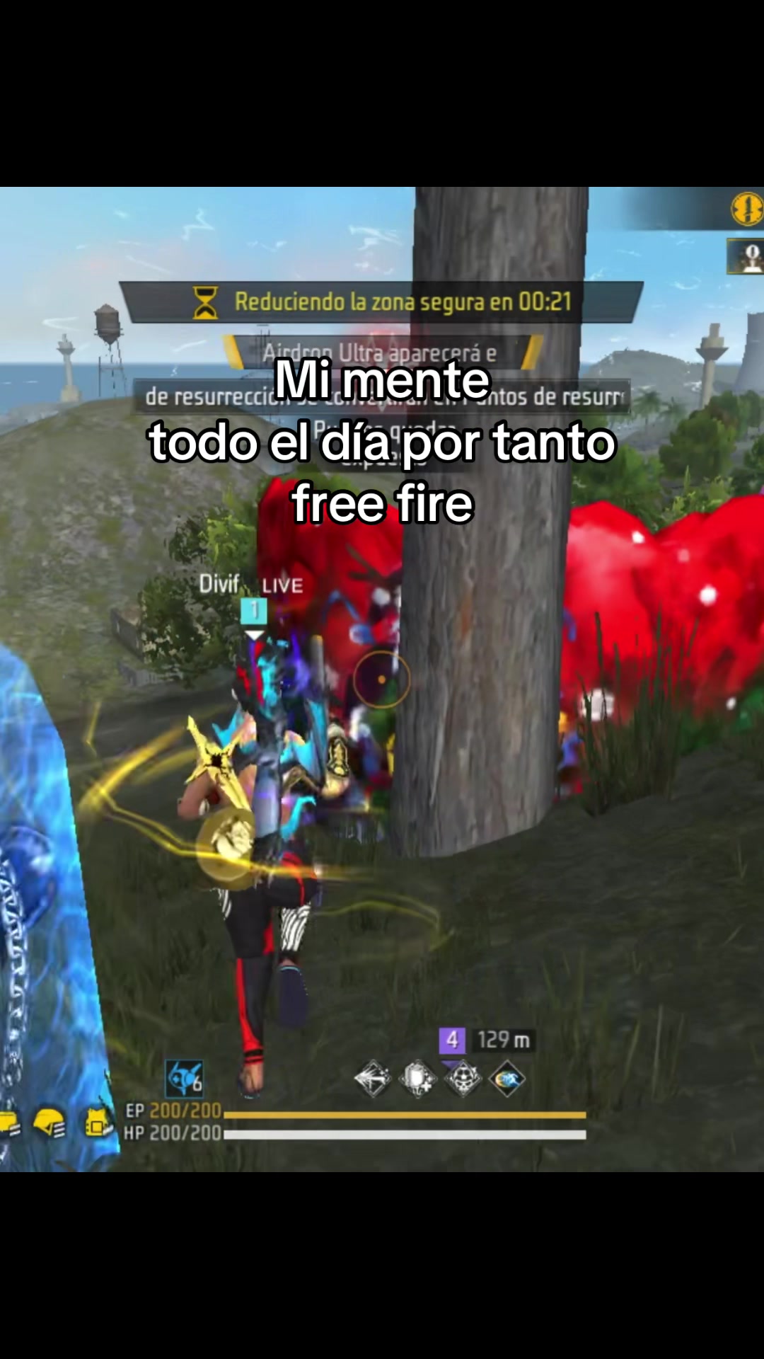 @divifff