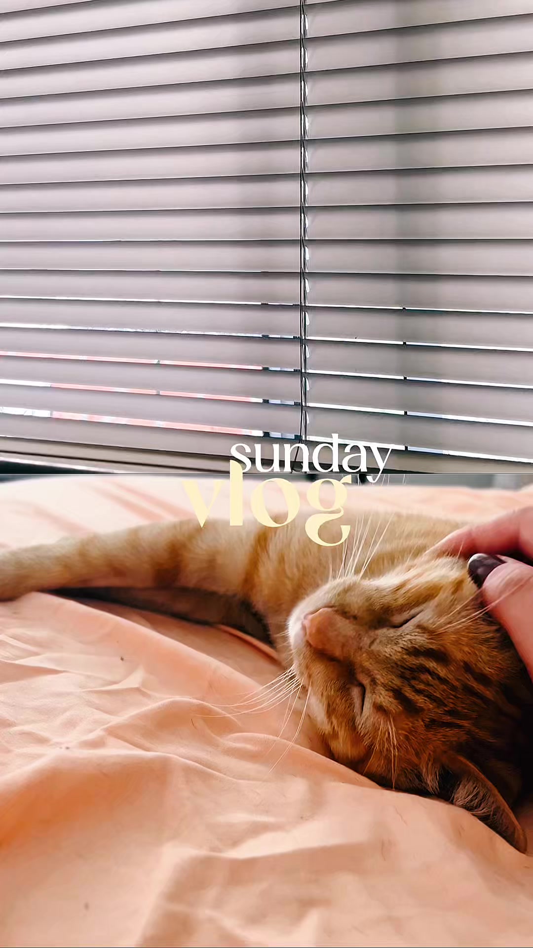 @Mari