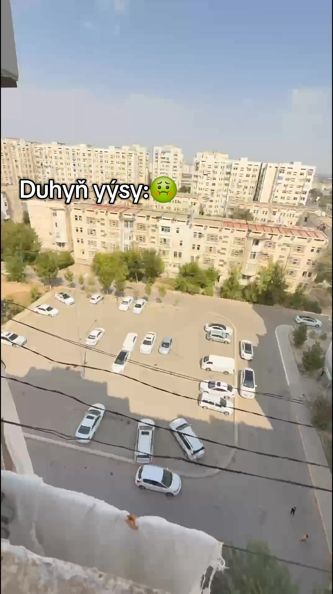 @HanS7N