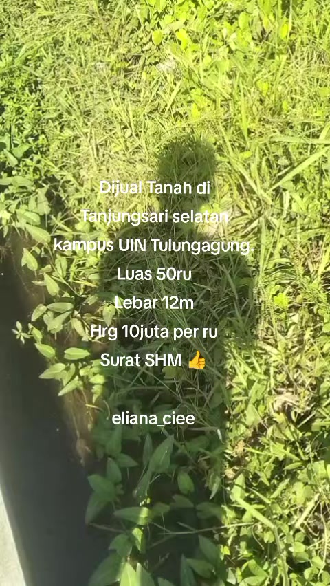 @eliana