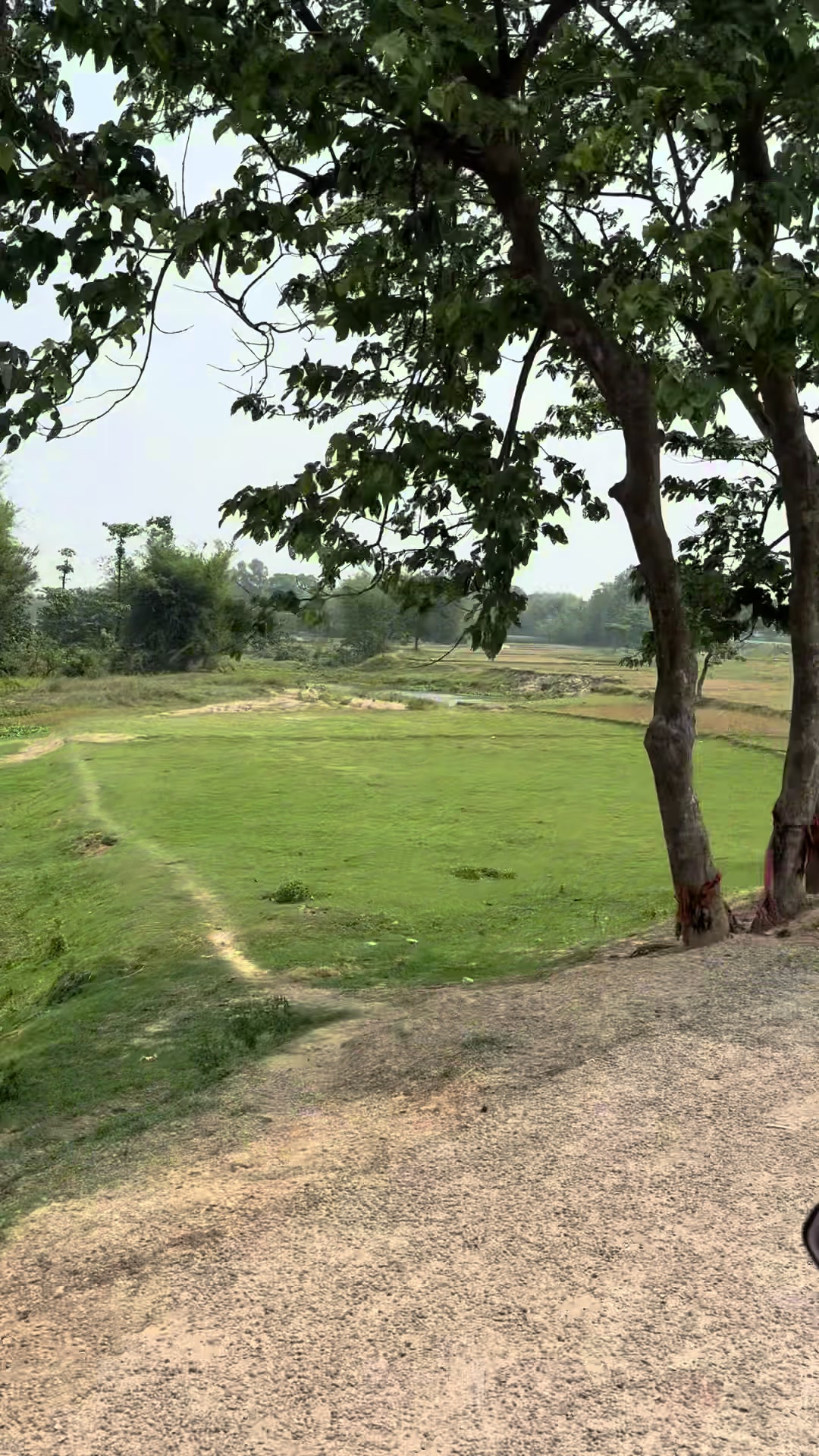 @Bikash Jha