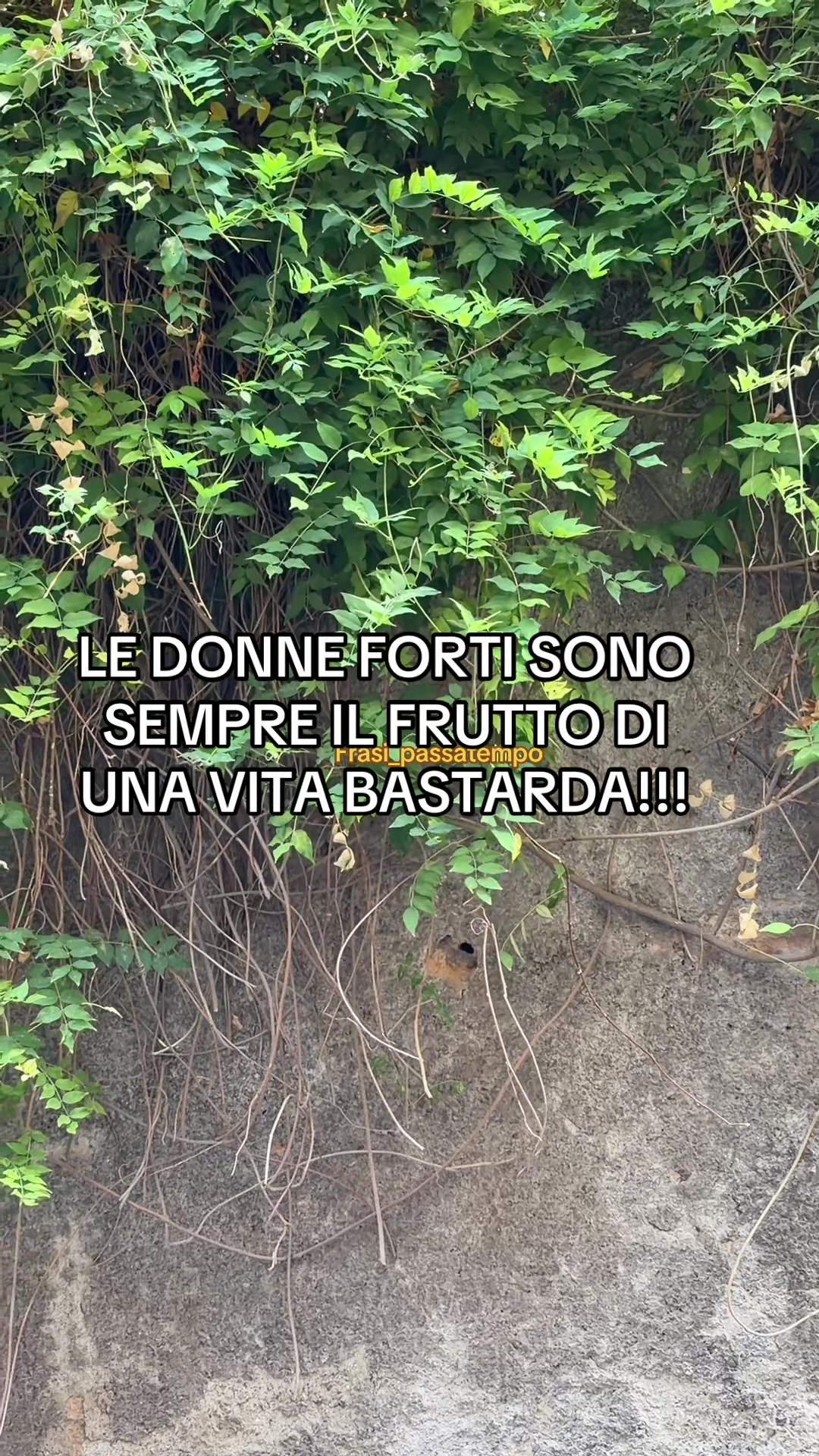 @frasi_passatempo