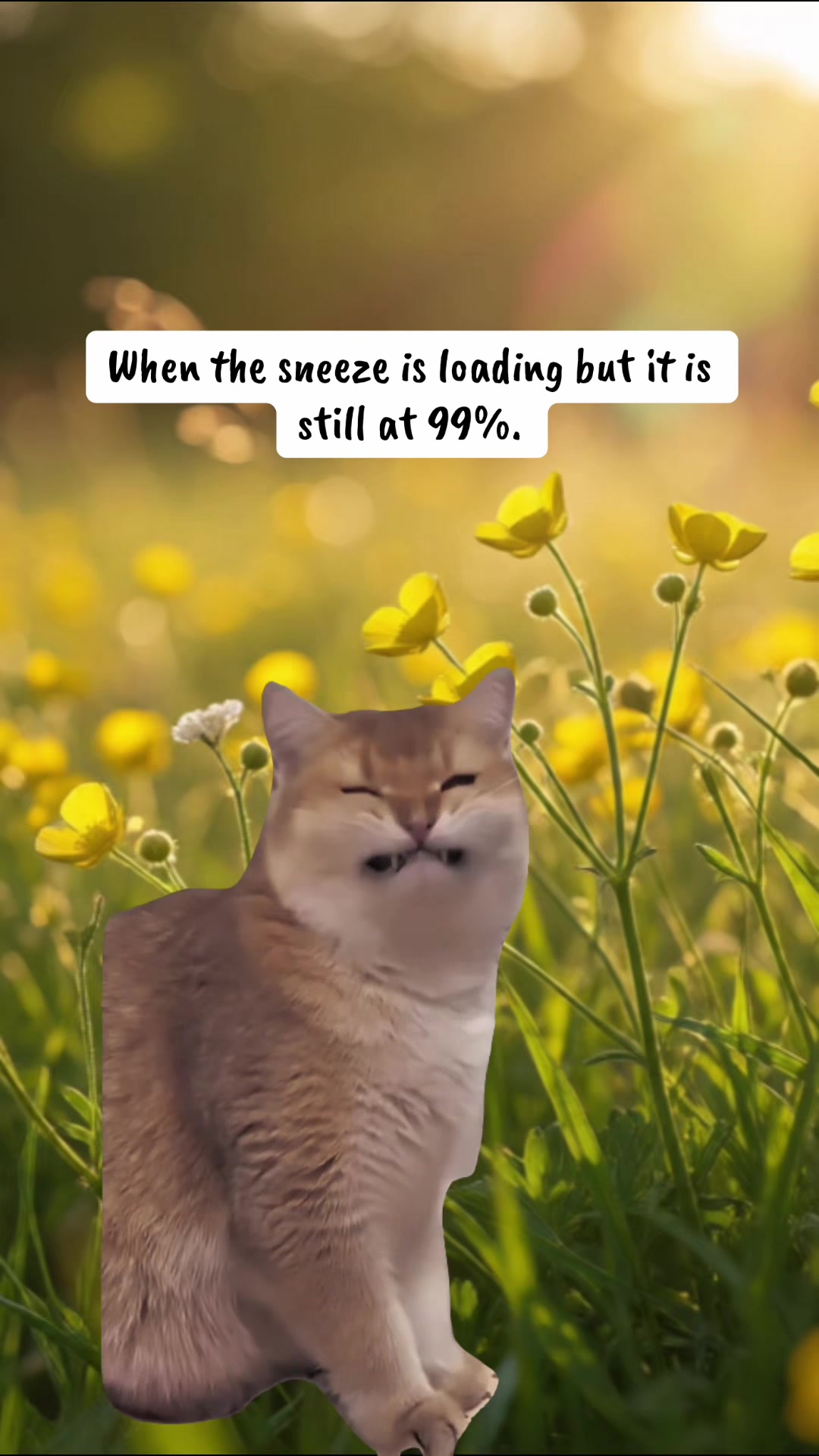 @Randomized Content Australia❌️