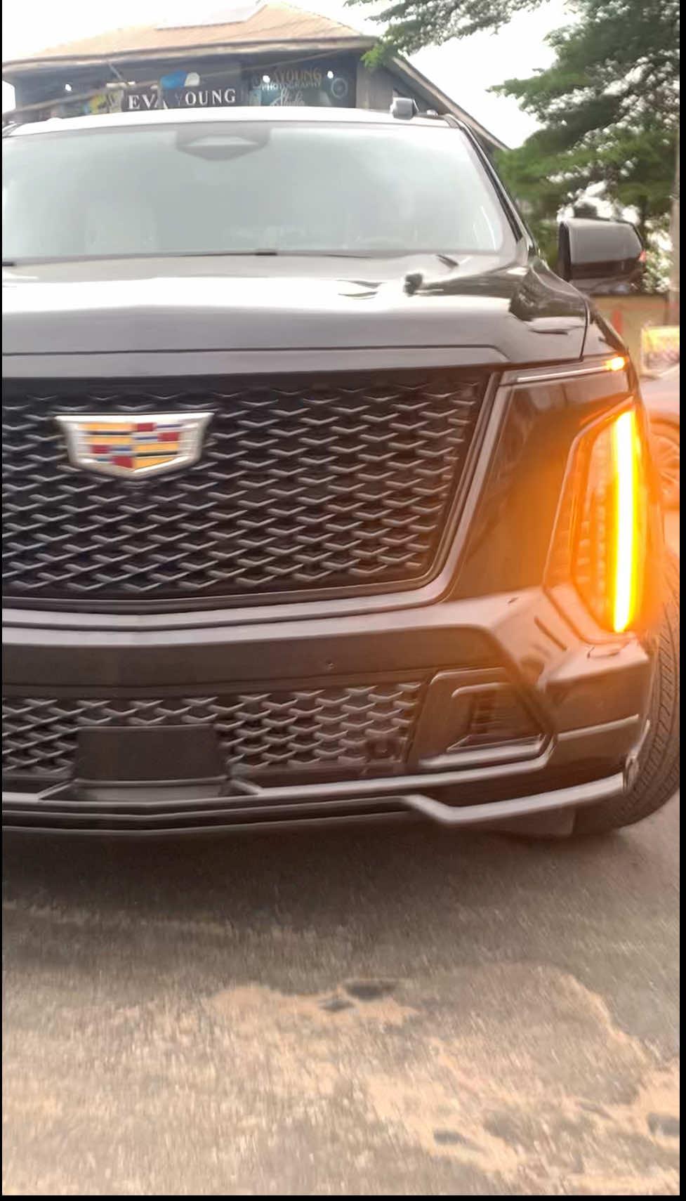 @alpha_cars001