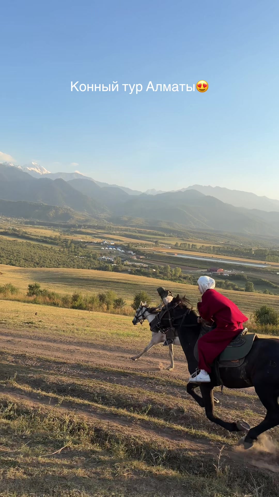 @tulpar_horses