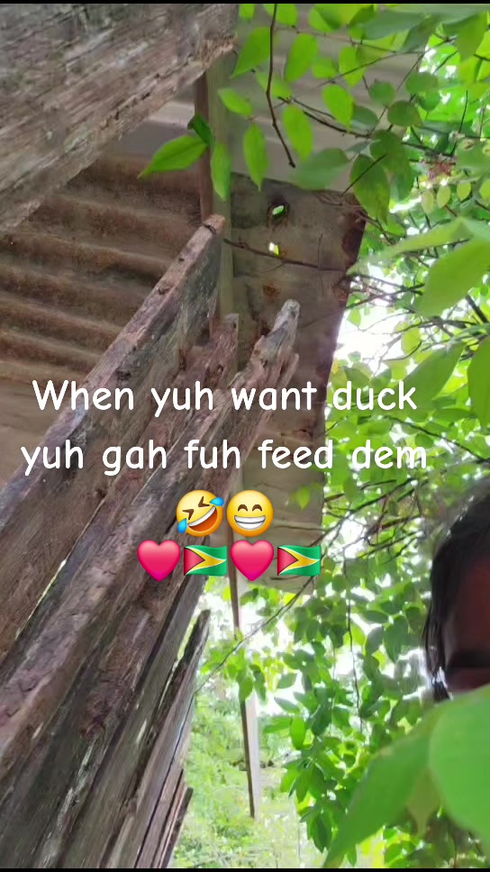 @Indian.girl893🇬🇾🪬♥️🦂🌻💋