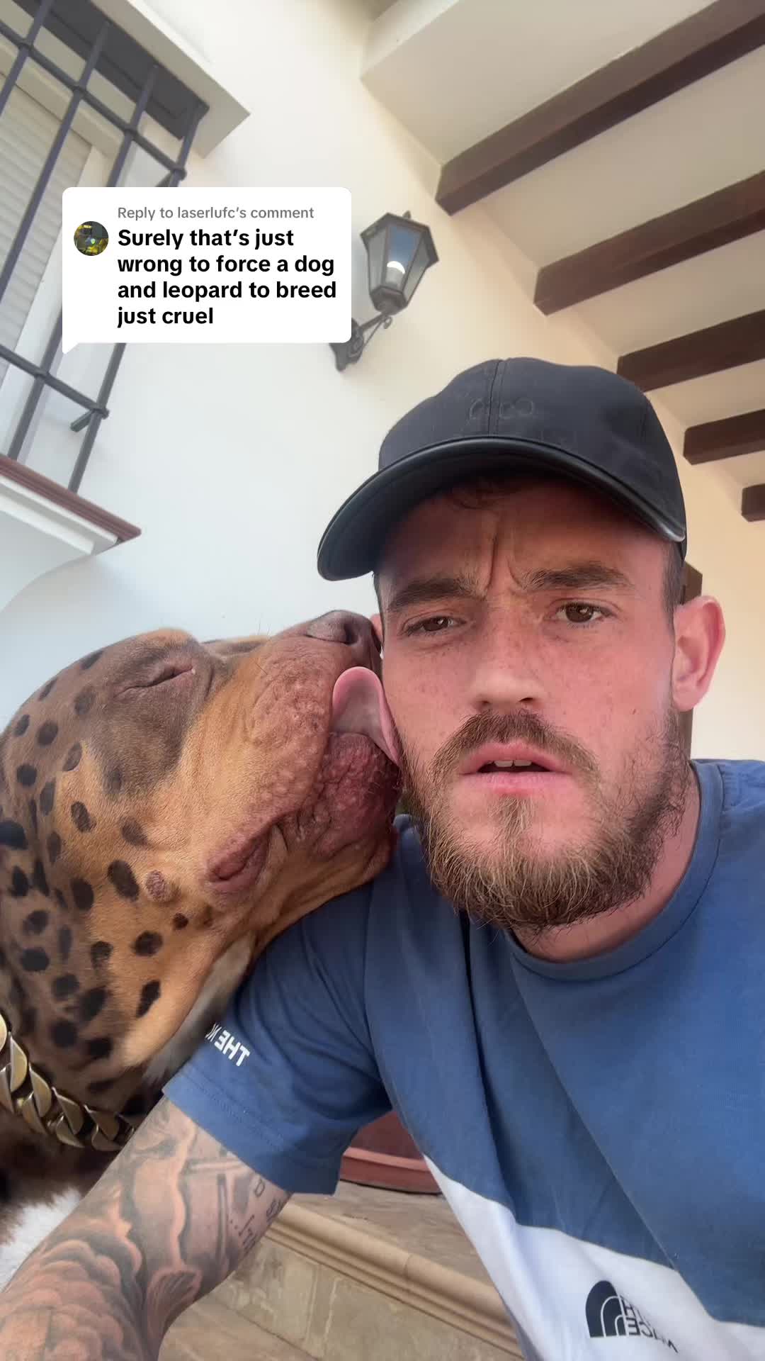 @deanthedogman1