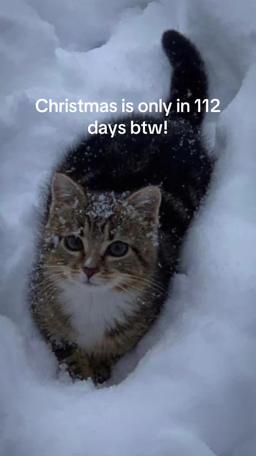 @christmas vibes!