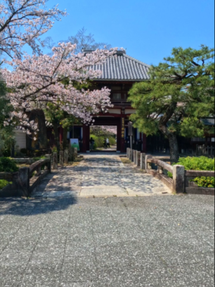 @美しい日本 感動の旅