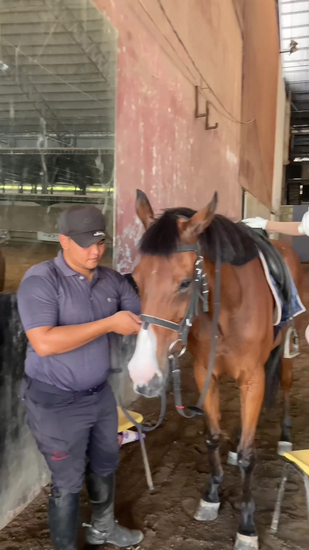 @Emporium Horse Club