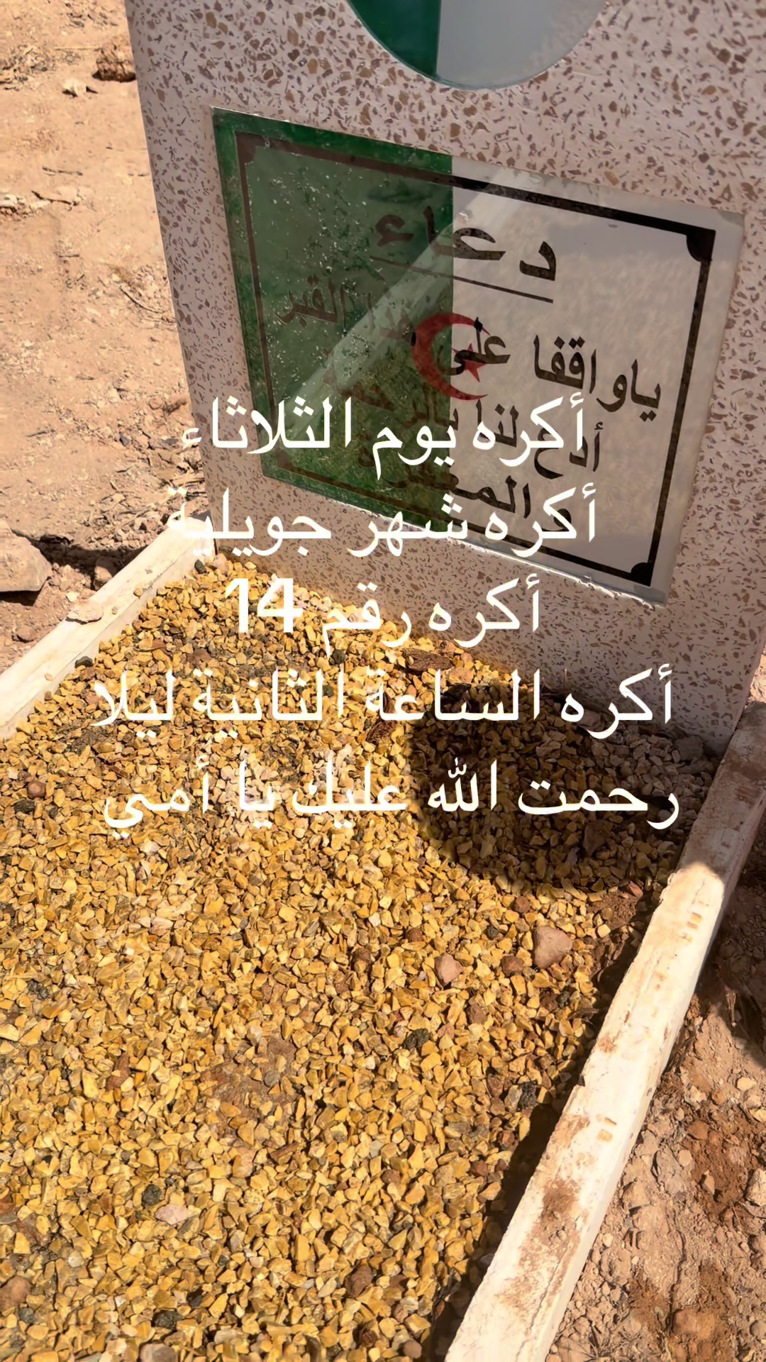 @🇩🇿بنت ❤️الحاجة❤️ مغنية 🇩🇿