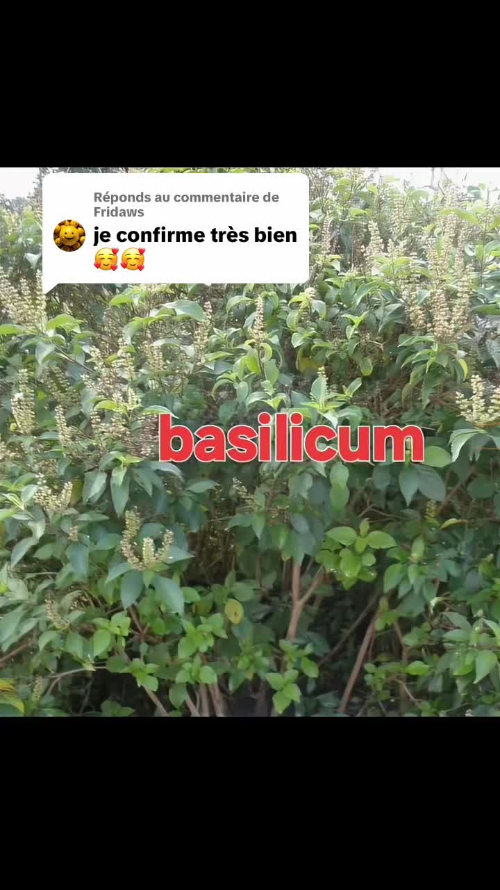 @Belleforme2byjosepha