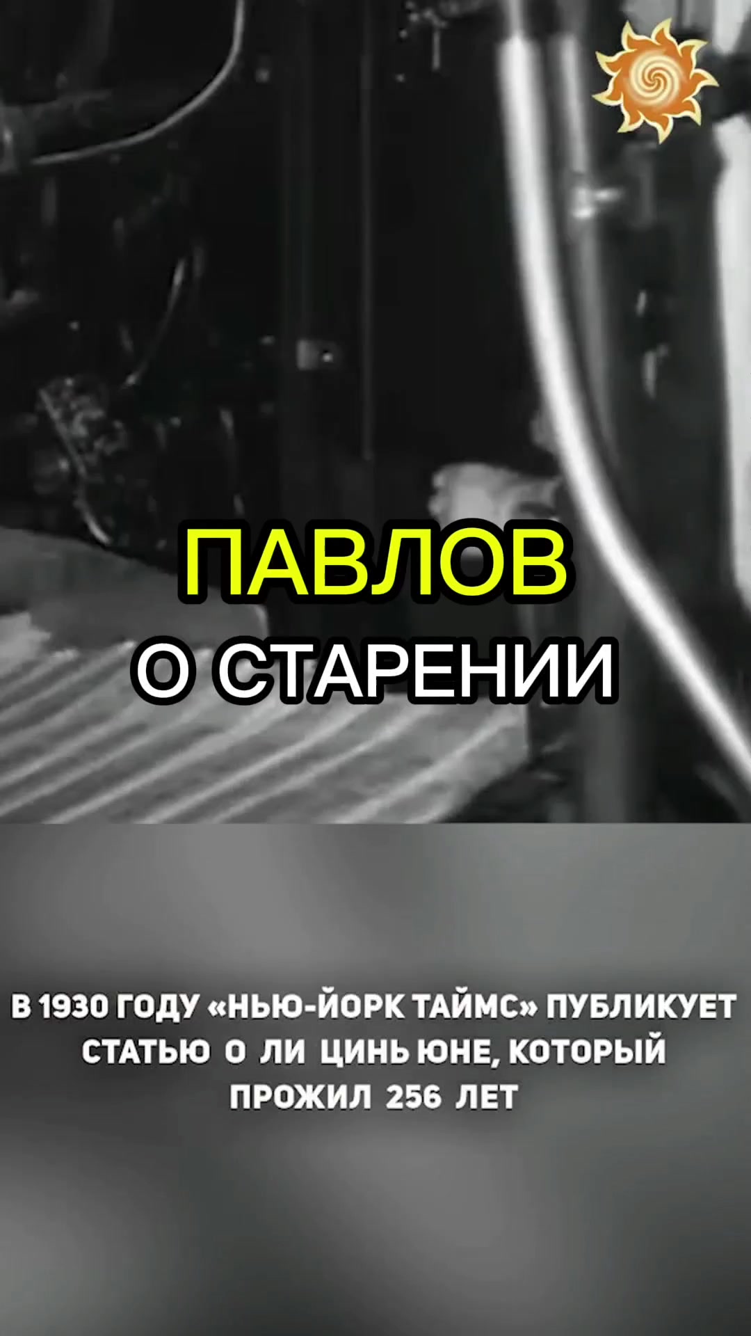 @Славмир