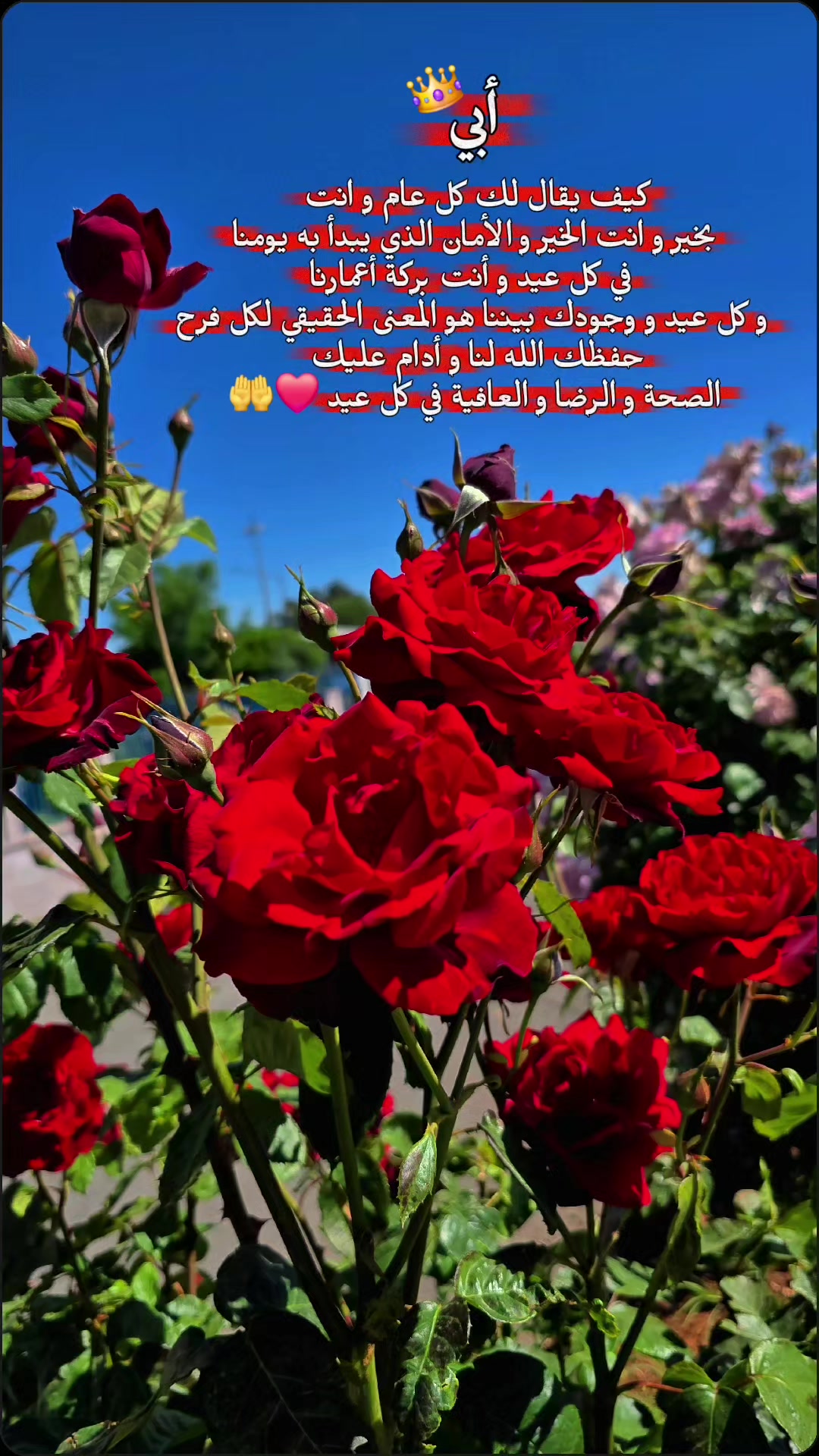 @♡آمــہ الز𝄠ين ♡