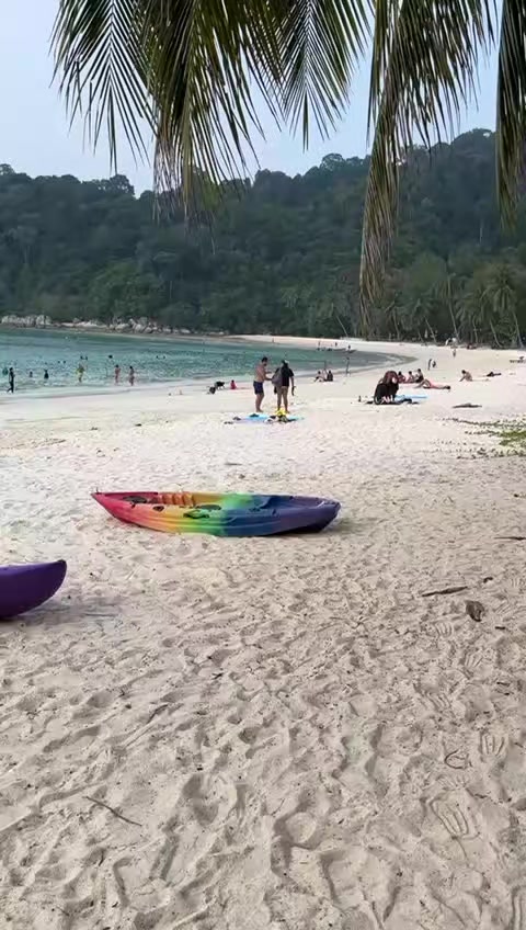 @♍ 23/08✨🦋🌴👠