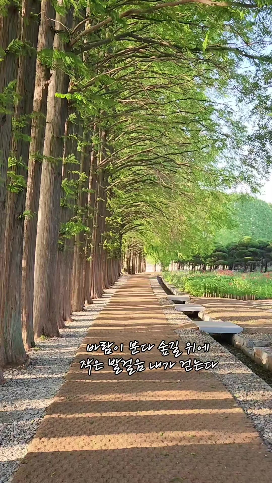 @심심해