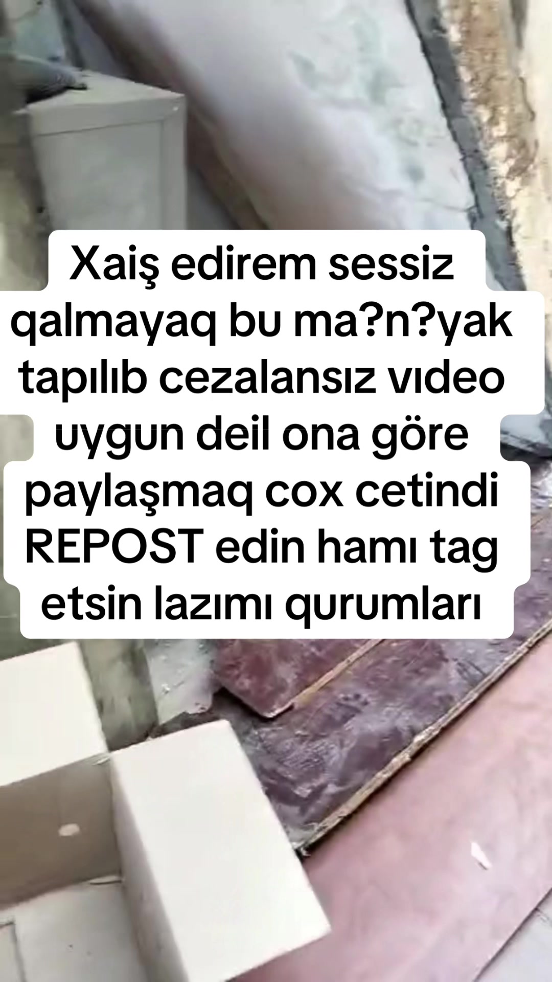 @SAHİBSİZ-HEYVANLARA-DESTEK